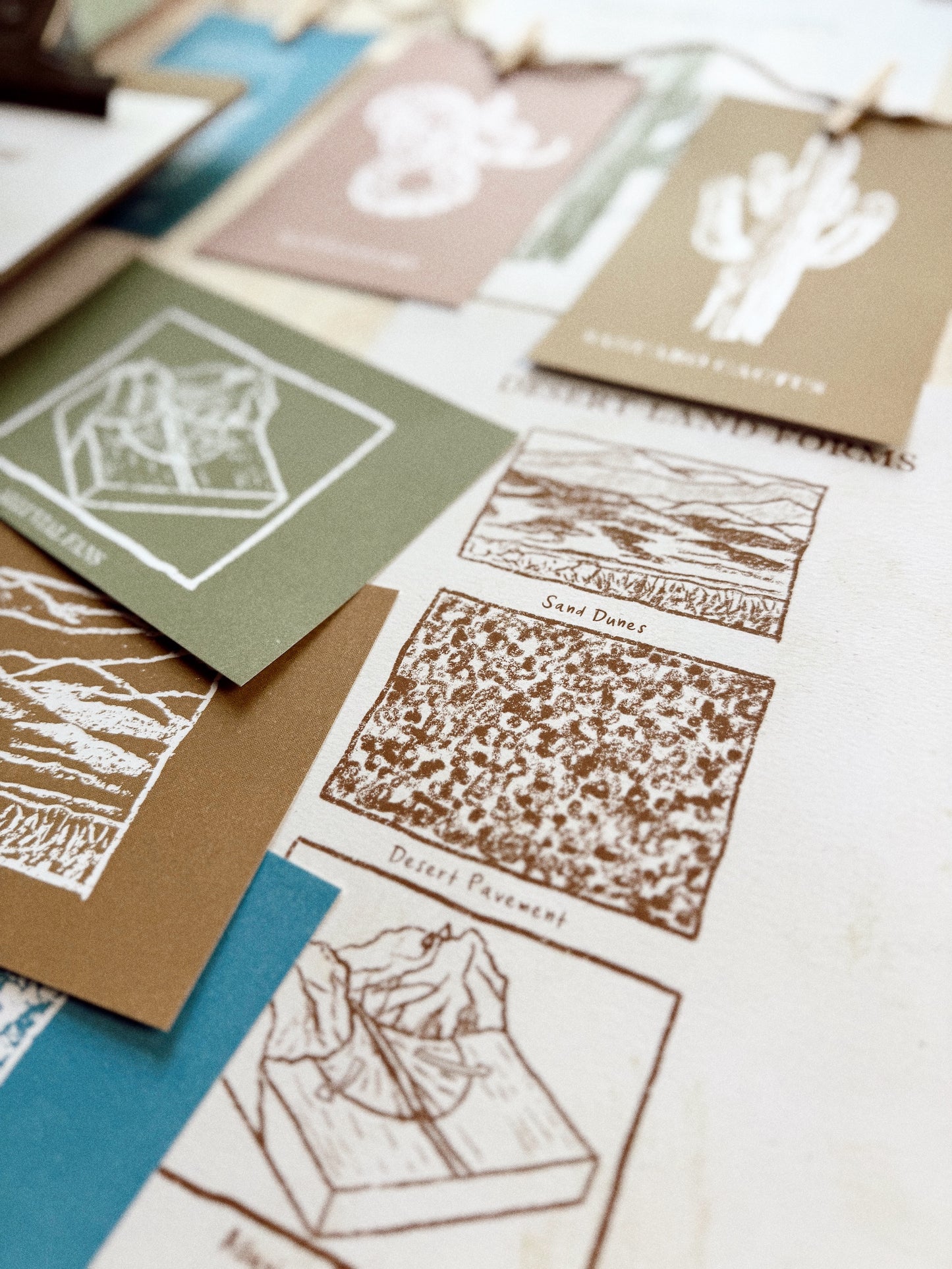 Desert Biome Guide Digital Download