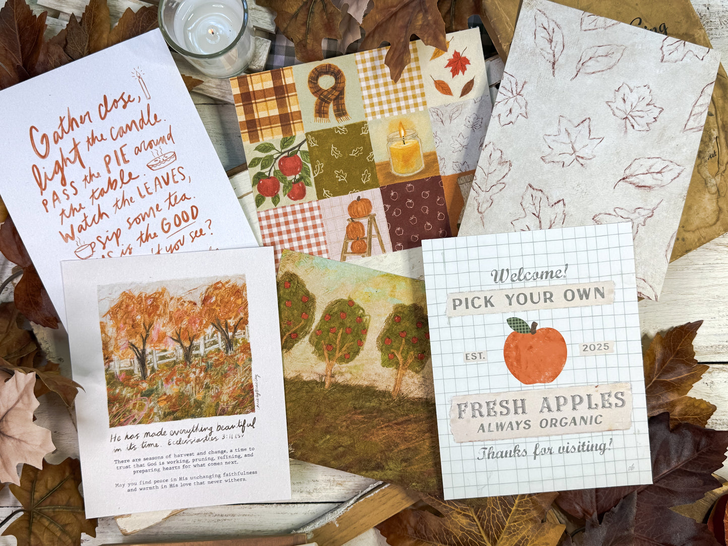 The Apples of the Heart Complete Collection Digital Bundle