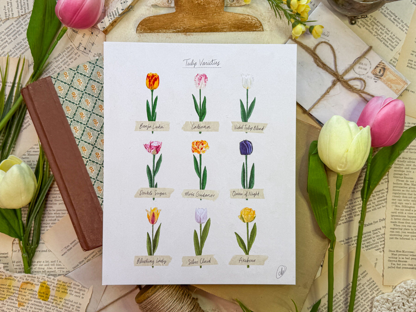 Tulip Poster