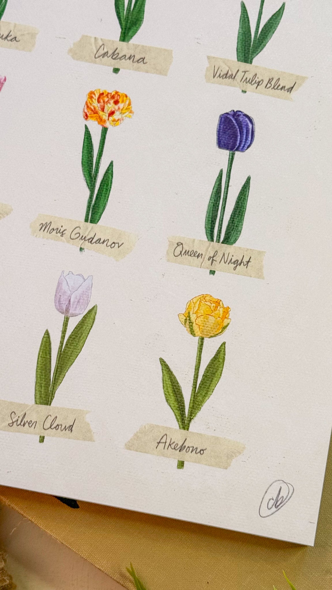 Tulip Poster