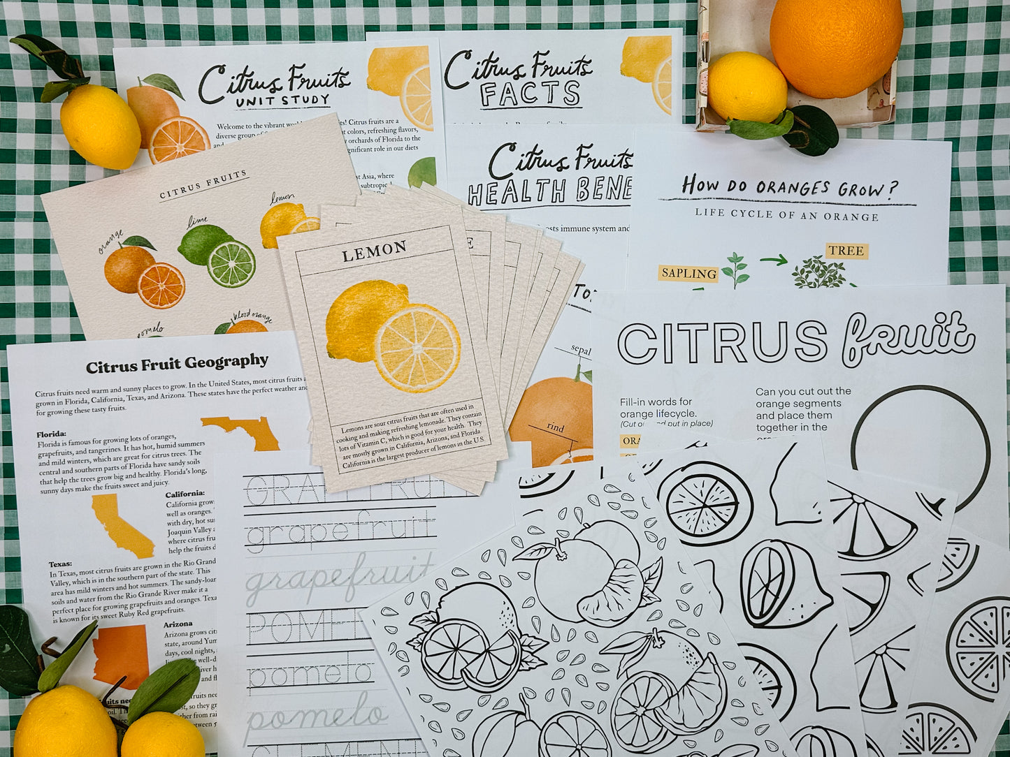 Citrus Fruits Unit Study Digital Download