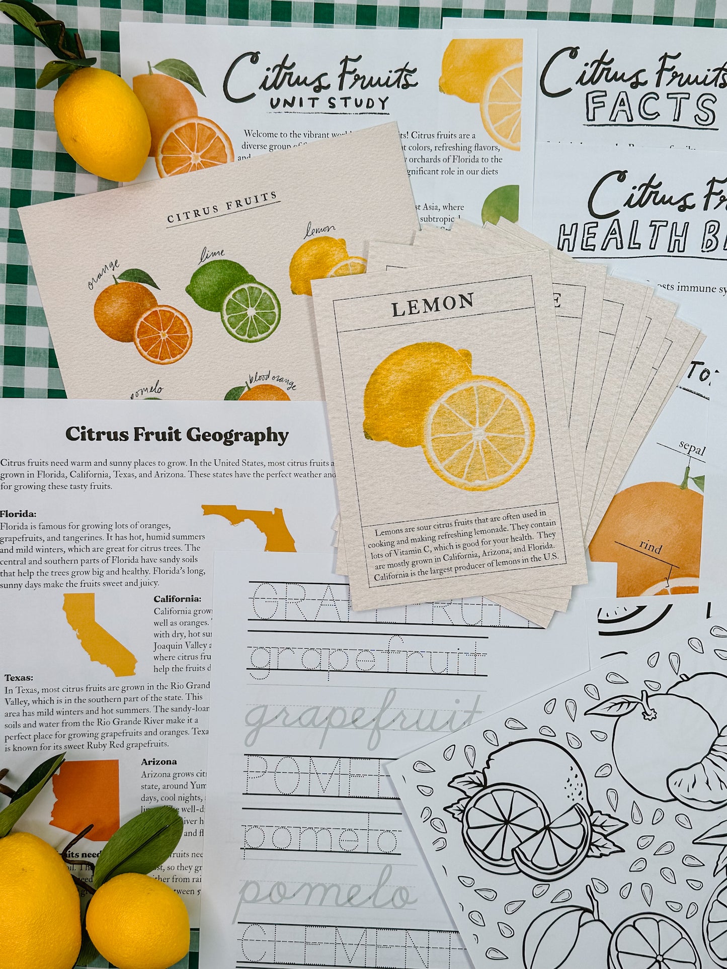 Citrus Fruits Unit Study Digital Download