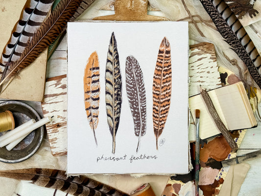 Pheasant Feathers