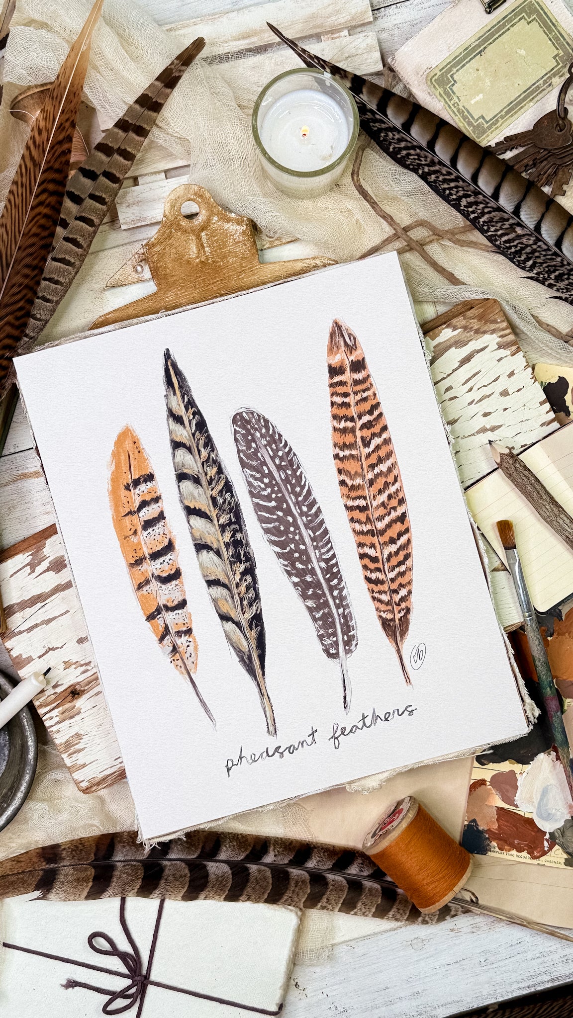 Pheasant Feathers