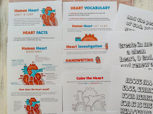 Human Heart Unit Study Digital Download