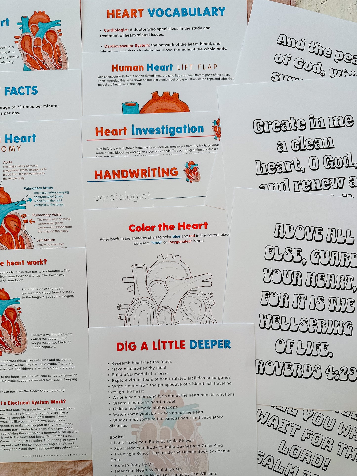 Human Heart Unit Study Digital Download