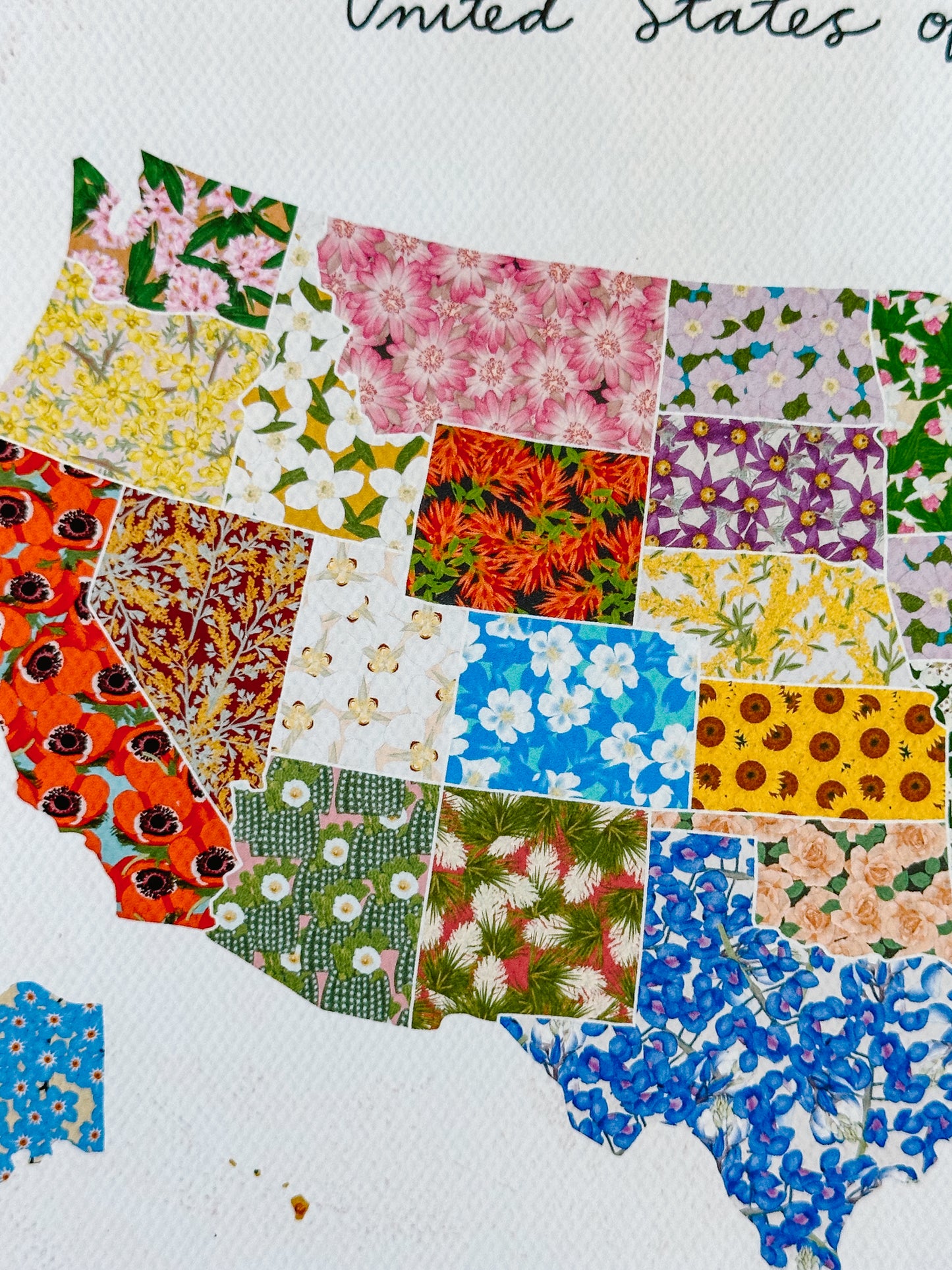 U.S.A. States Floral Map