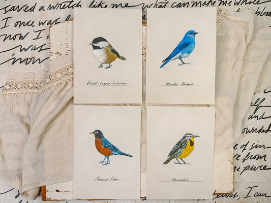 Bird Prints