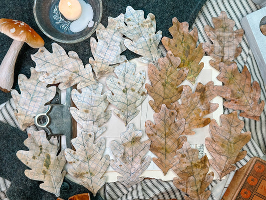 Leaf Cutouts Digital Downloads