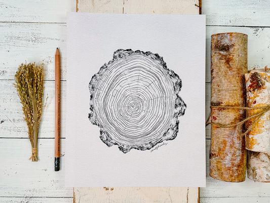 Tree Rings