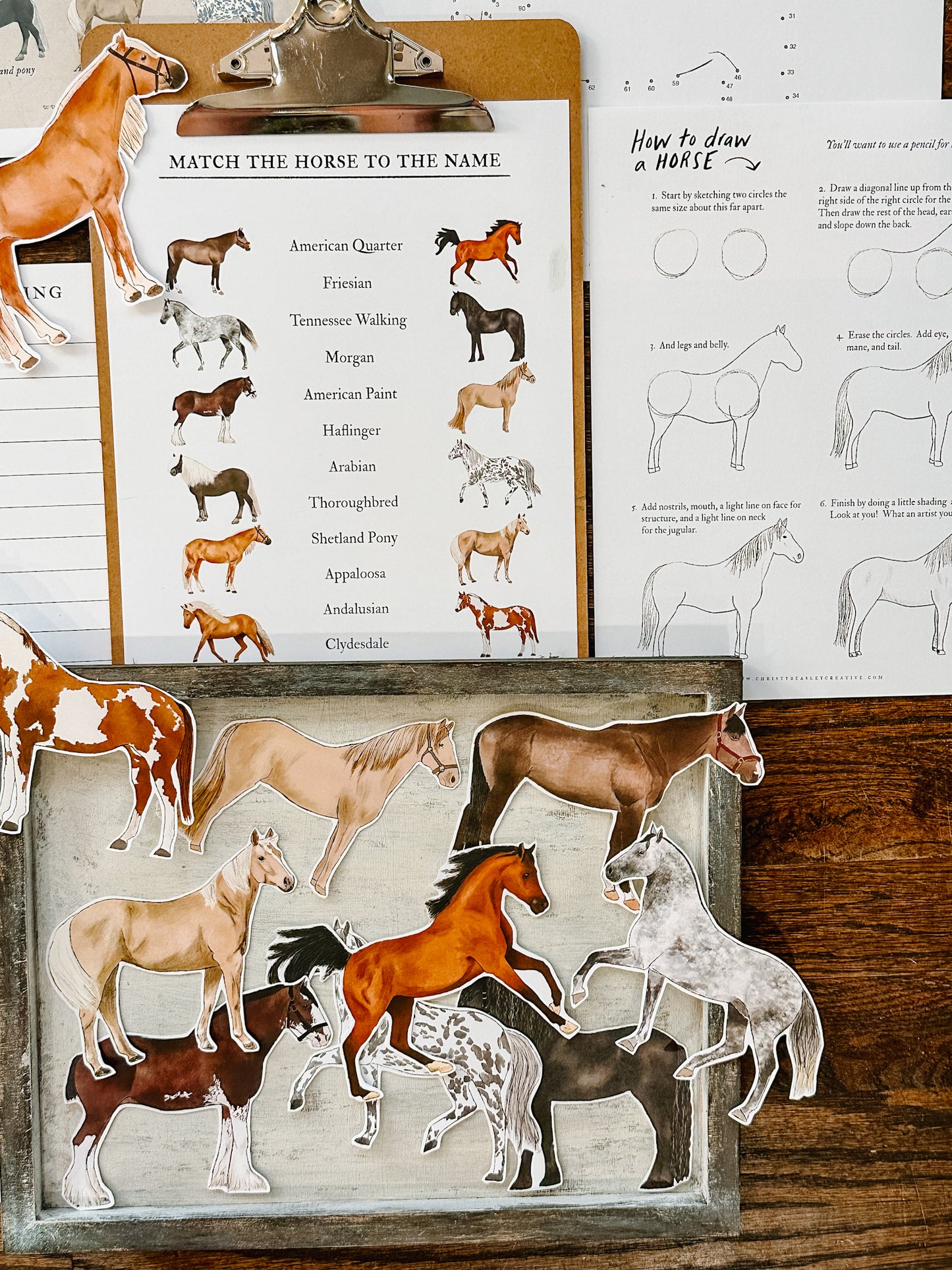 Horse Unit Study Digital Download