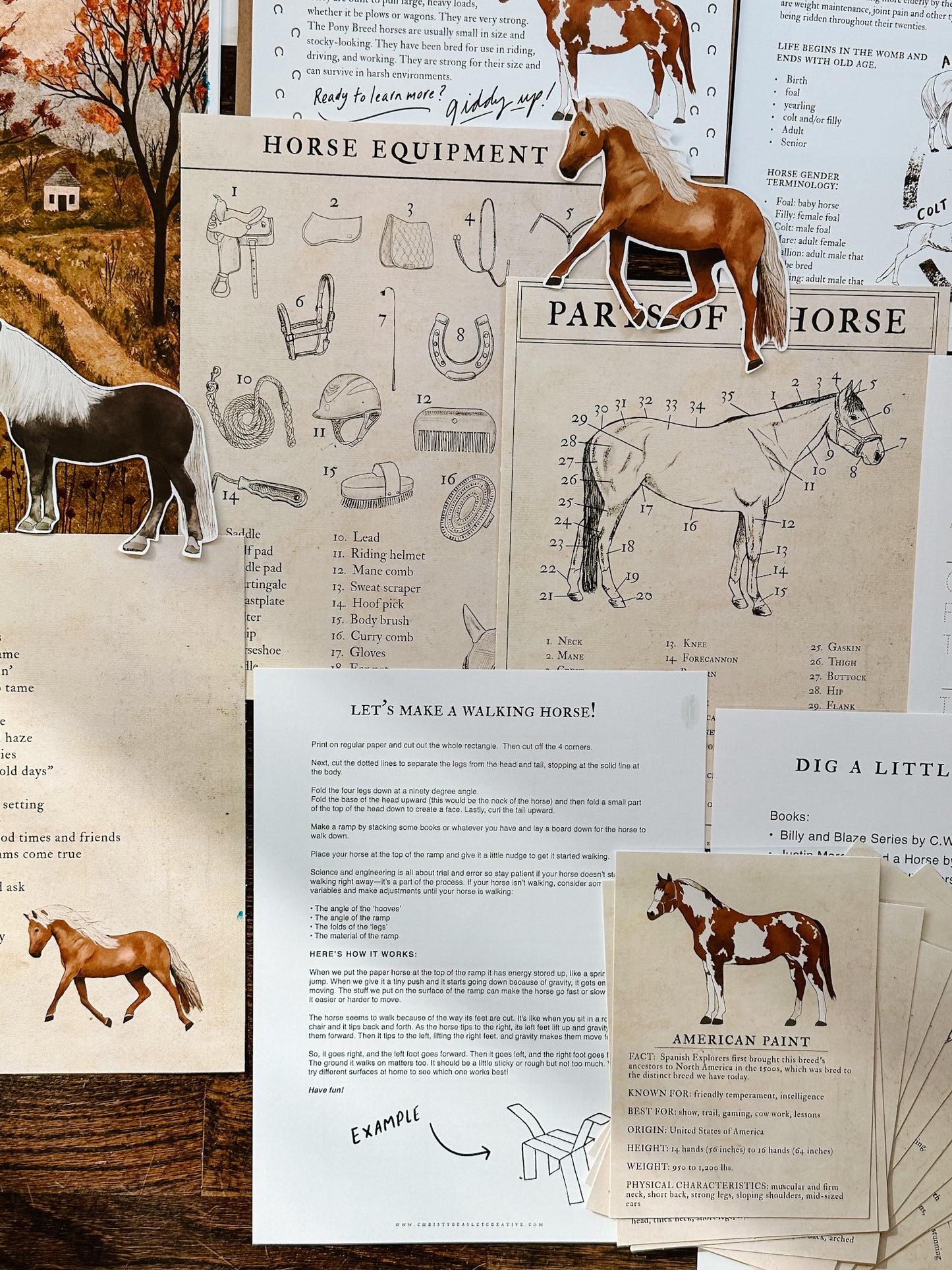 Horse Unit Study Digital Download