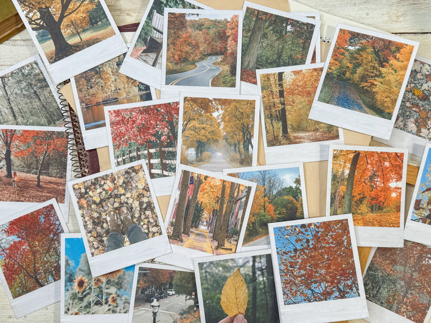 Fall Fest Complete Collection Digital Bundle