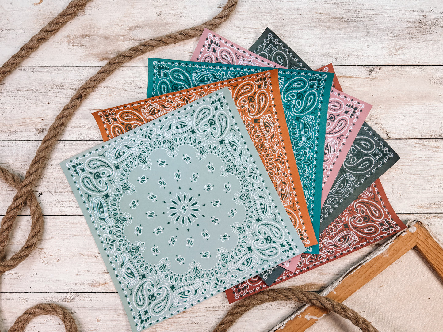 The Wide Open Complete Collection Digital Bundle