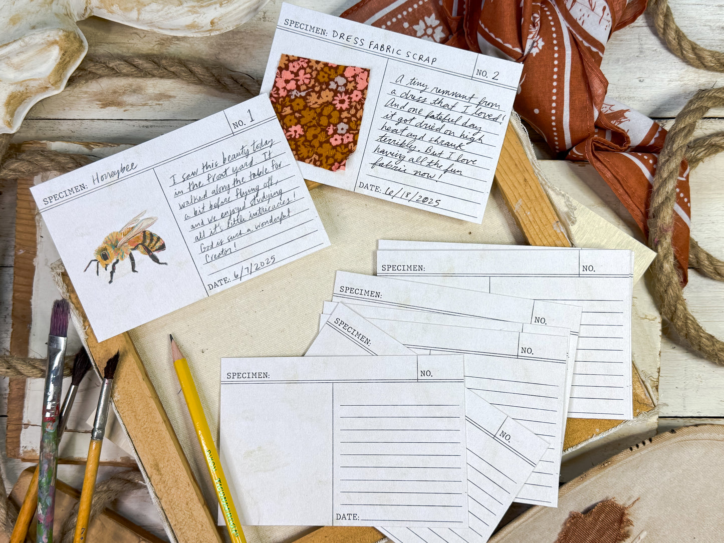 The Wide Open Complete Collection Digital Bundle