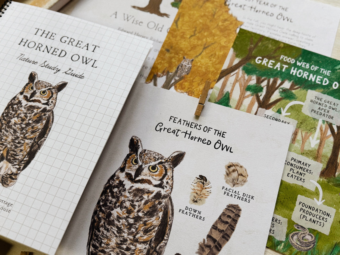 Great Horned Owl Nature Study Guide Digital Download