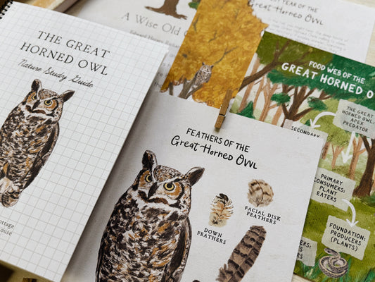 Great Horned Owl Nature Study Guide Digital Download