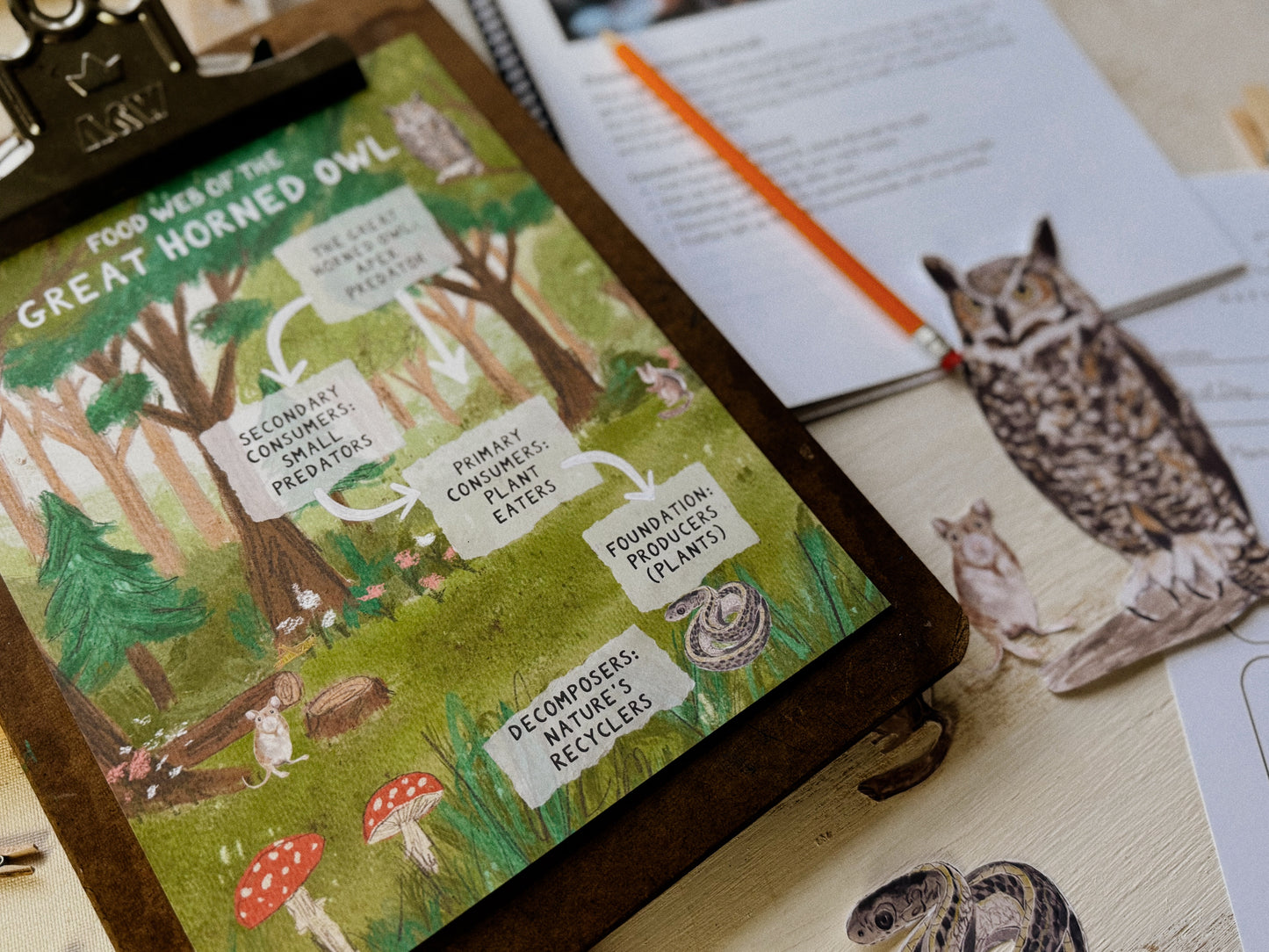 Great Horned Owl Nature Study Guide Digital Download
