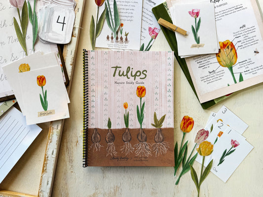 Tulip Unit Study Digital Download