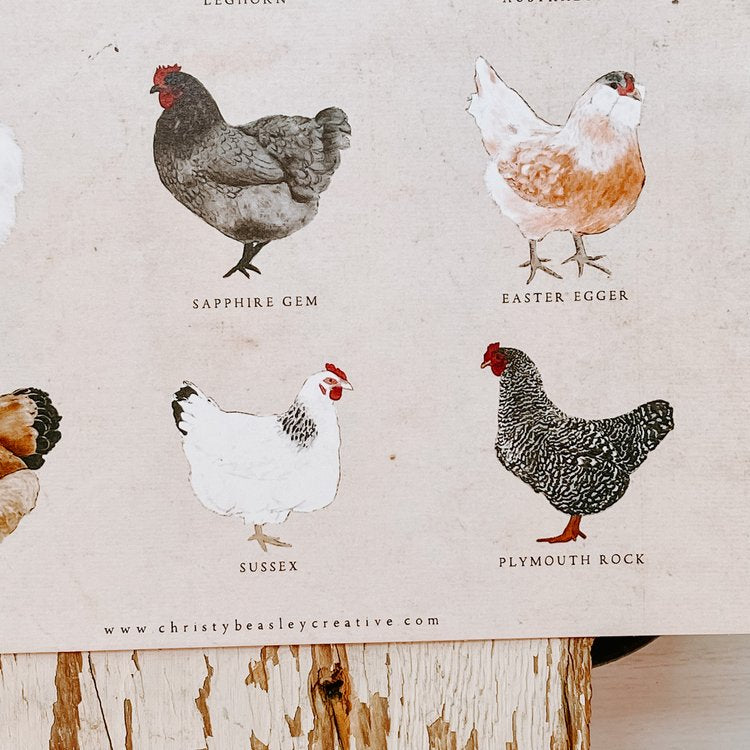 Chicken Poster