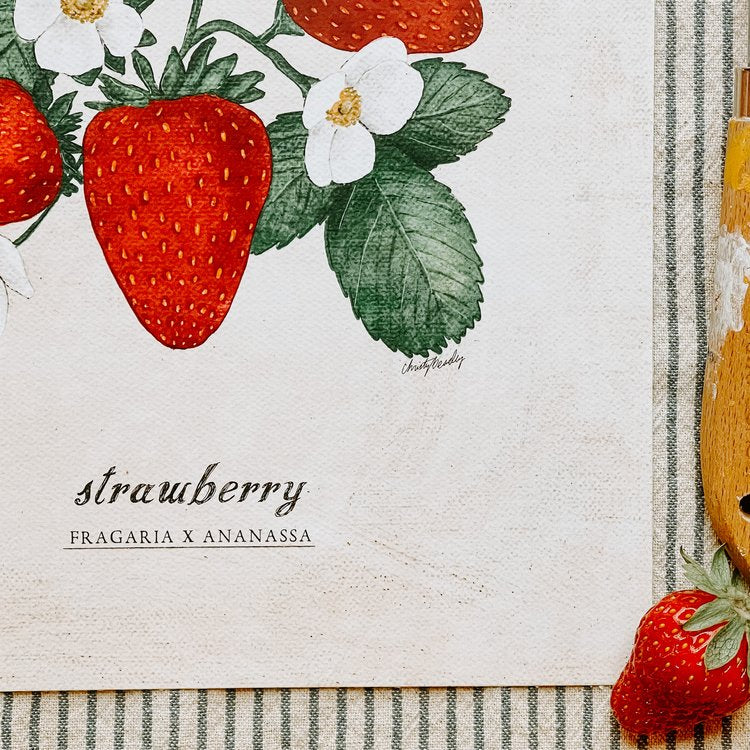 Vintage Strawberry Plant