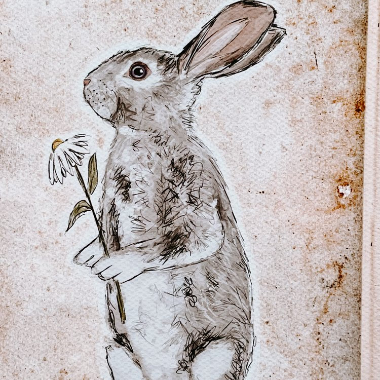 Vintage Rabbit