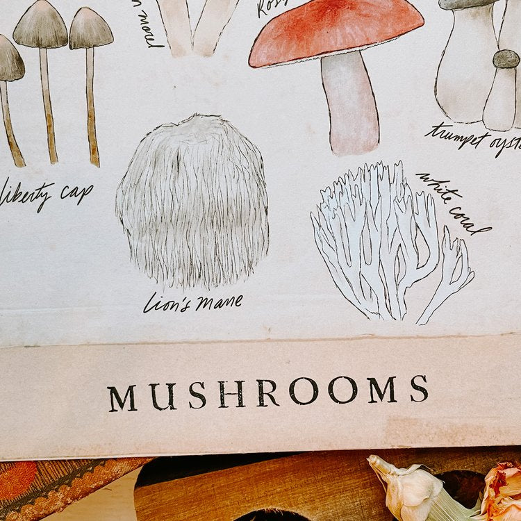 Mushrooms Poster