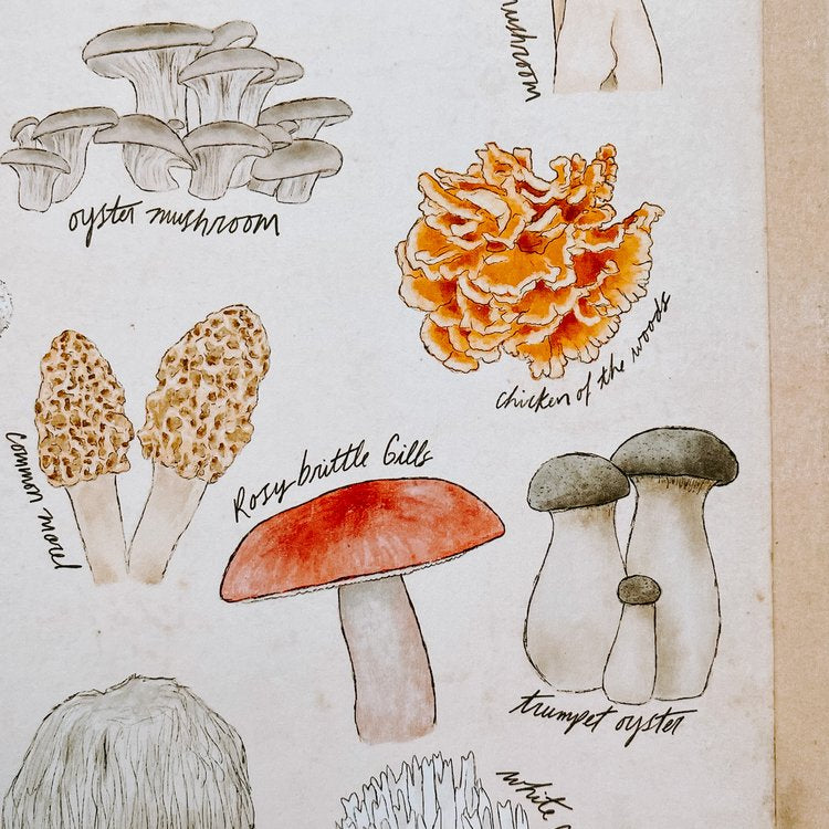 Mushrooms Poster