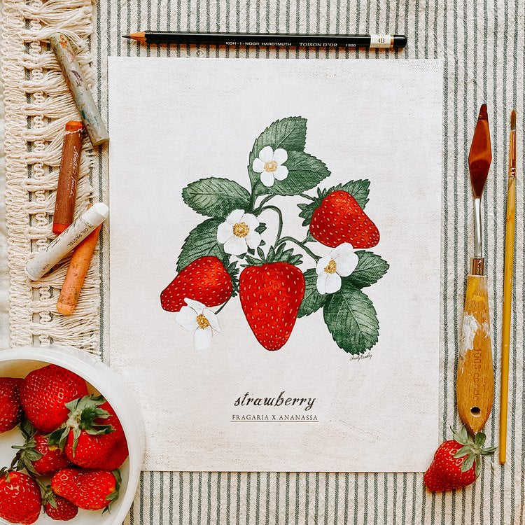 Vintage Strawberry Plant