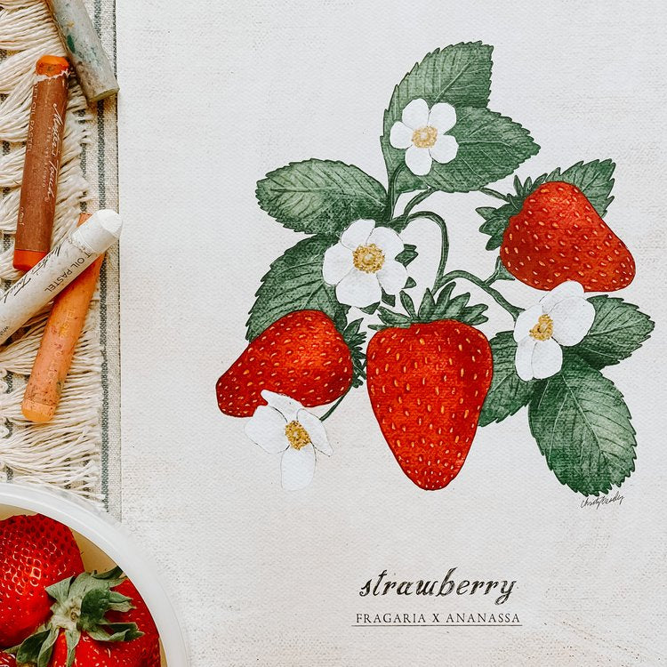 Vintage Strawberry Plant