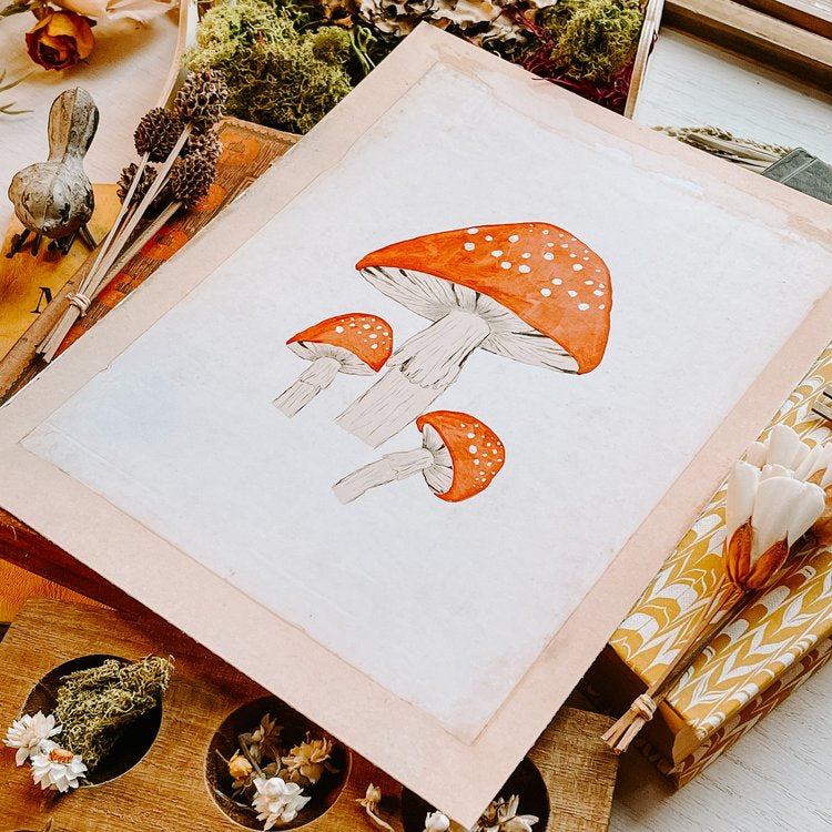 Dreamy Toadstool Mushroom