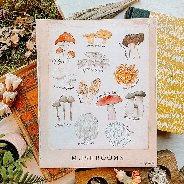 Mushrooms Poster