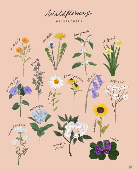 Wildflower Posters