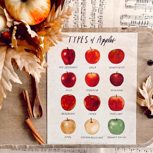 Types of Apples Poster