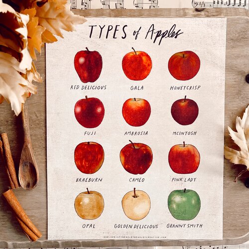 apple varieties poster