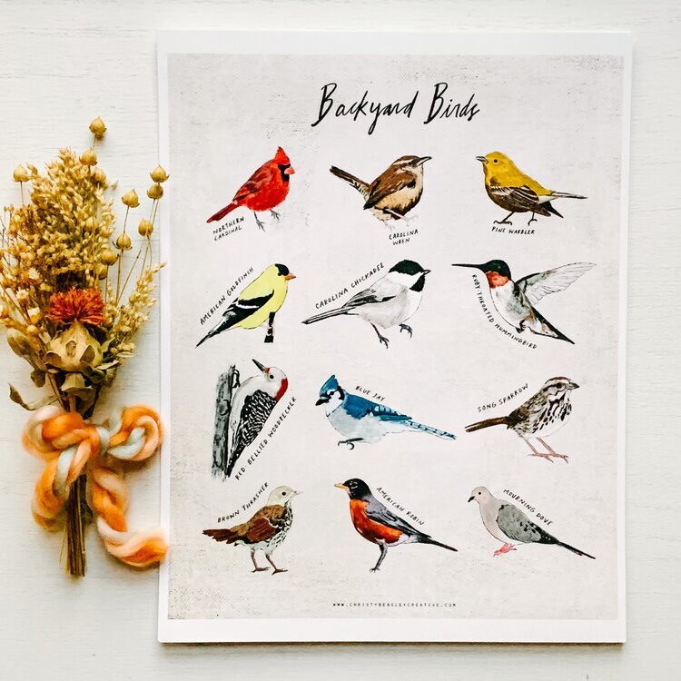 Backyard Birds Poster