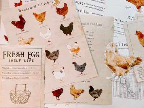 Chicken Unit Study Digital Download