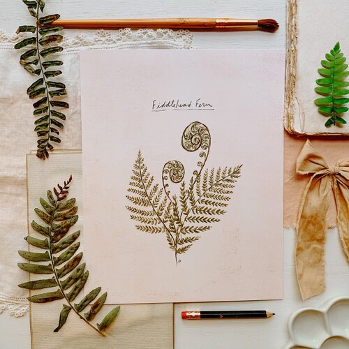 Fiddlehead Fern Print