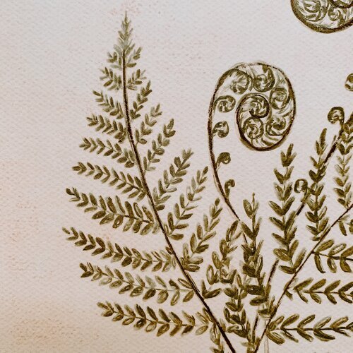 Fiddlehead Fern Print