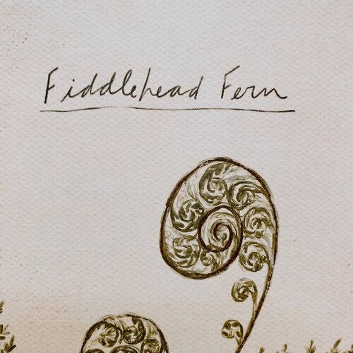 Fiddlehead Fern Print