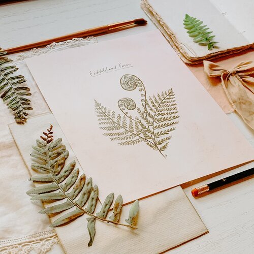 Fiddlehead Fern Print