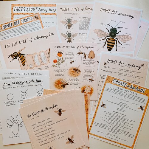 Honeybee Unit Study Digital Download