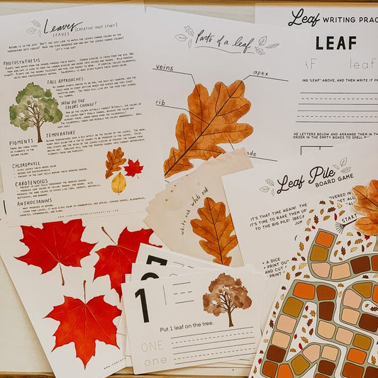 Leaves Unit Study Digital Download