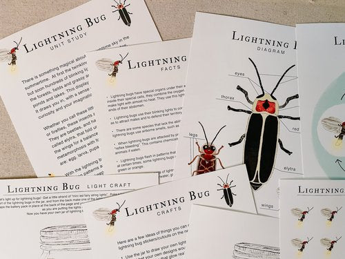 Lightning Bug Unit Study Digital Download
