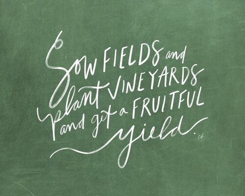 Sow Fields Print